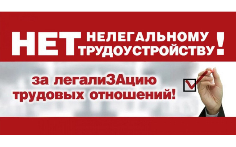 Противодействие нелегальной занятости.
